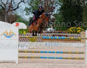 CHIMIRRI V GINGER ItaAss2013- S5 1428 : CHIMIRRI VINCENZO, Campionati Italiani 2013, Cattolica, GINGER, Horse Riviera Resort, foto di Stefano Secchi ©